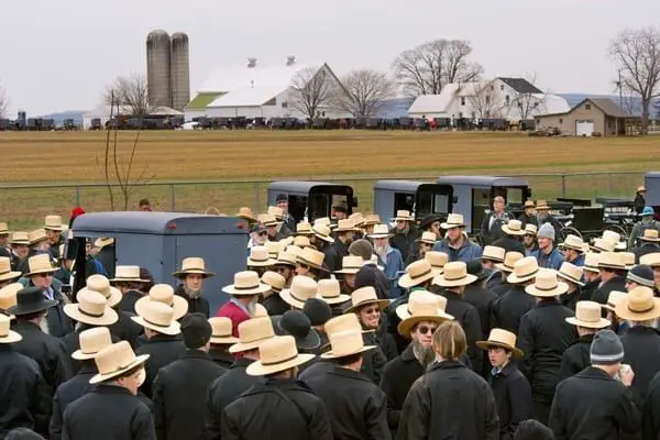 Historia de la barba Amish