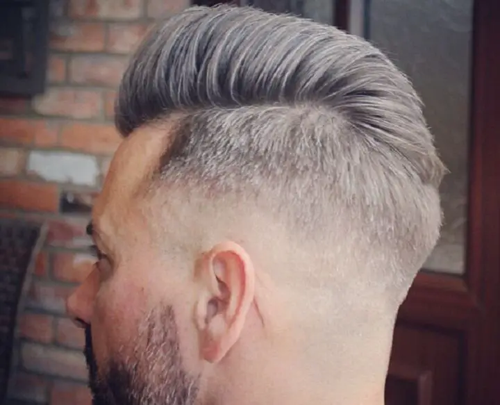 Pompadours de pelo gris